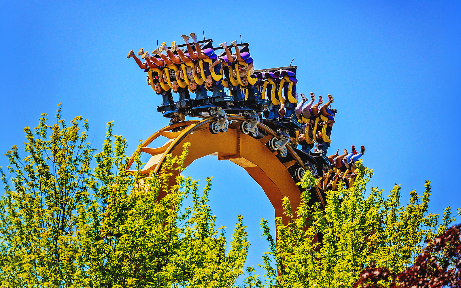 Riders upside down on BATMAN™ The Ride roller coaster at Six Flags Great America.