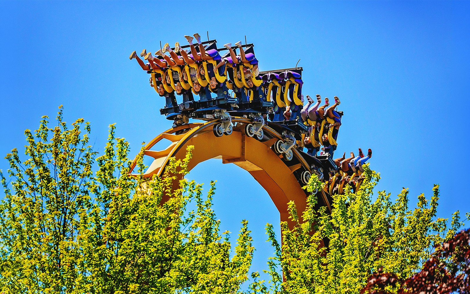 Riders upside down on BATMAN™ The Ride roller coaster at Six Flags Great America.
