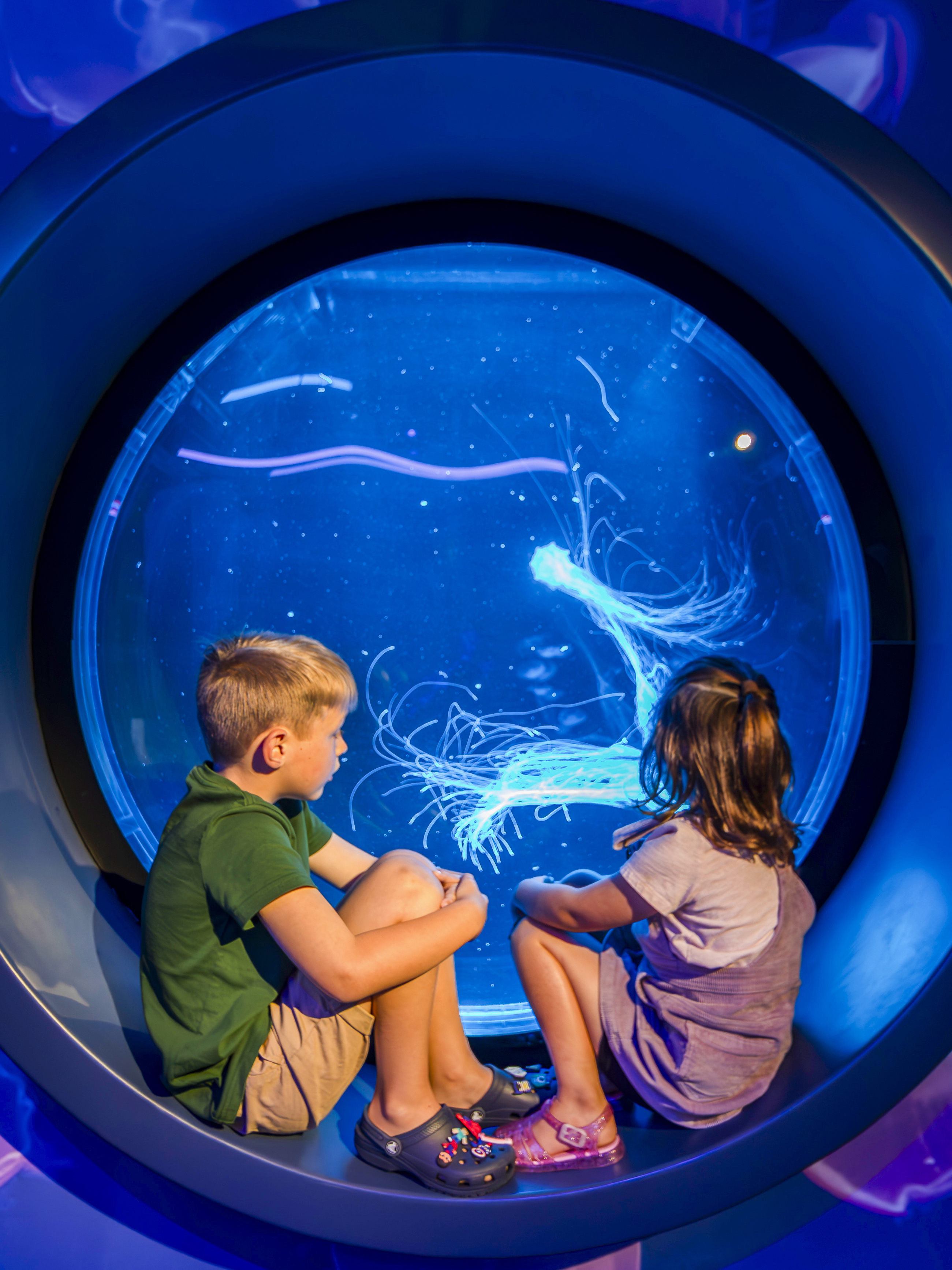 Lunar New Year Auckland