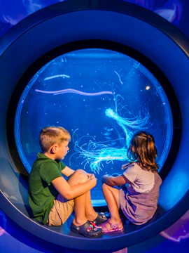 Children observing jellyfish at SEA LIFE Kelly Tarlton's Aquarium, New Zealand.