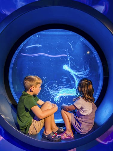 Lunar New Year Auckland