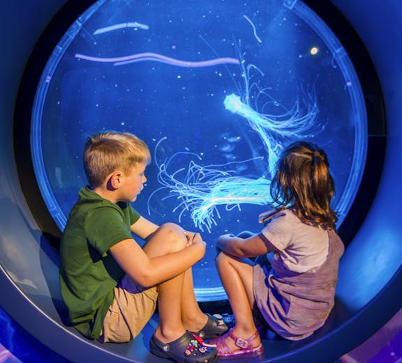 Children observing jellyfish at SEA LIFE Kelly Tarlton's Aquarium, New Zealand.