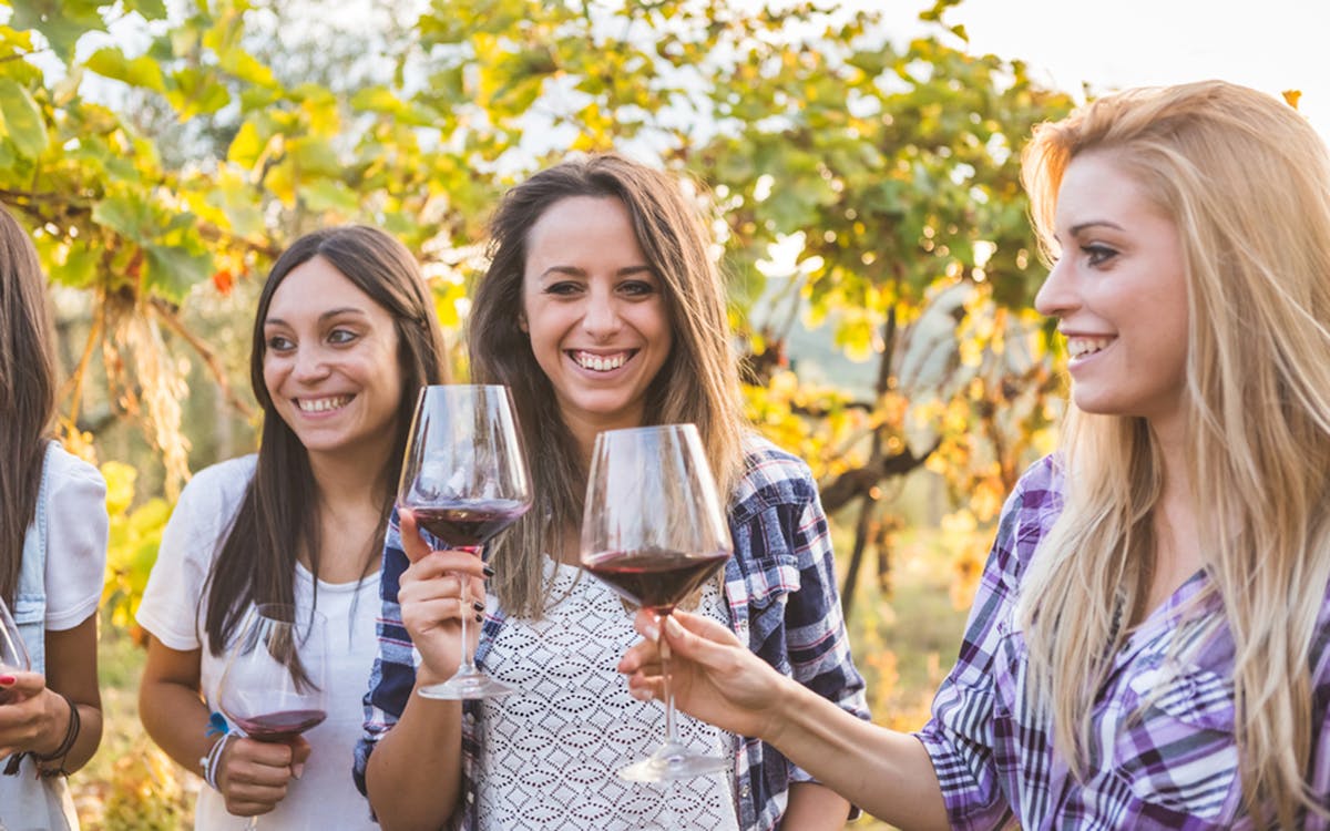 tour de siena, san gimignano, monteriggioni e degustação de vinhos chianti saindo de florença-11 tour de siena, san gimignano, monteriggioni e degustação de vinhos chianti saindo de florença-11
