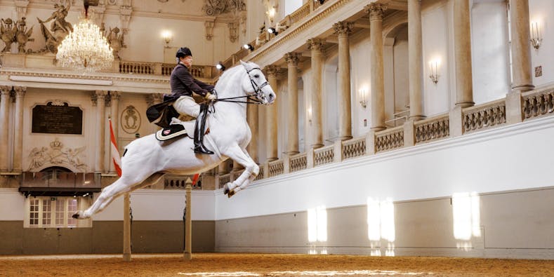 Spanish Riding School