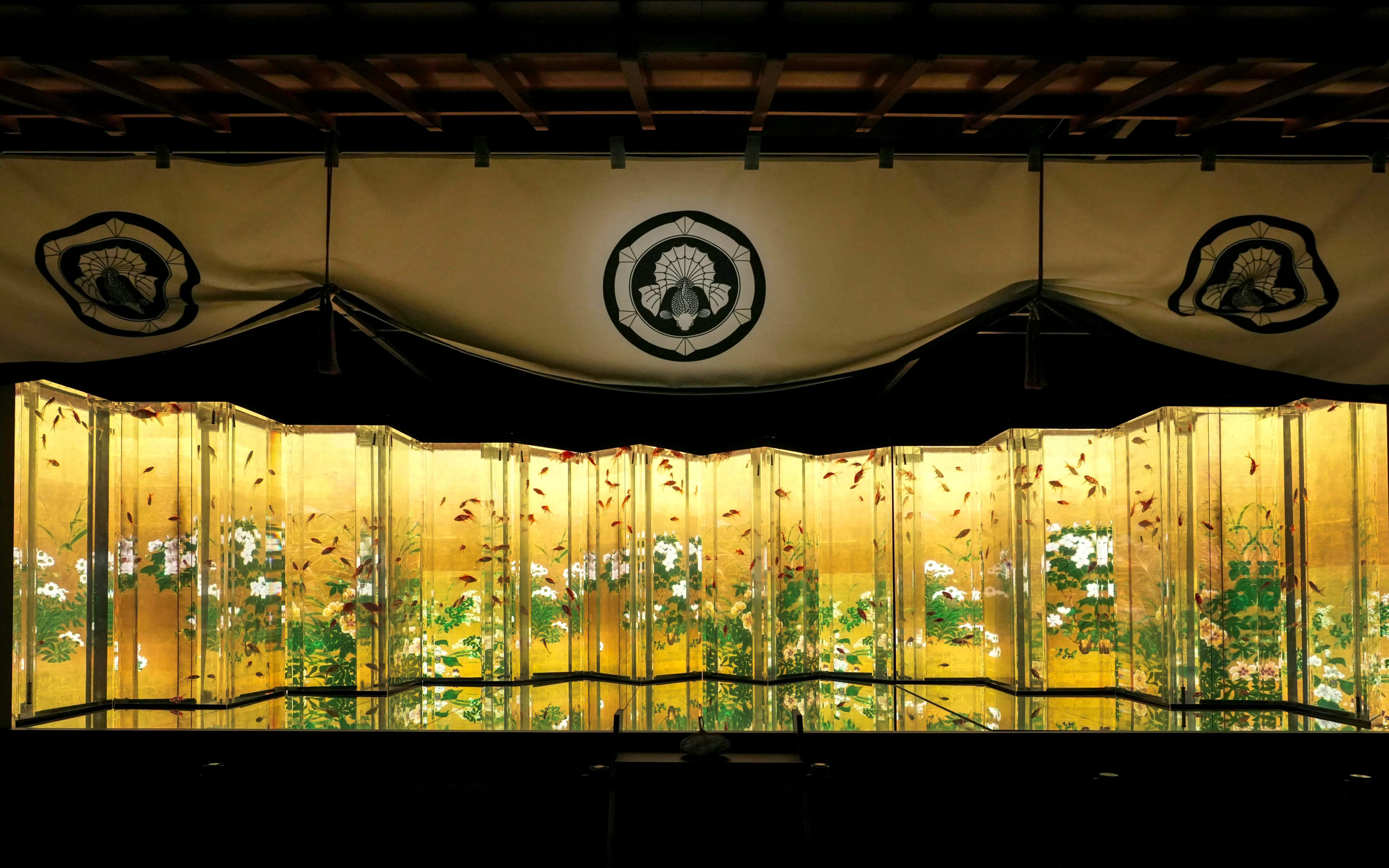 Goldfish swimming in illuminated tanks at Art Aquarium Museum GINZA.