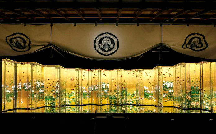 Goldfish swimming in illuminated tanks at Art Aquarium Museum GINZA.