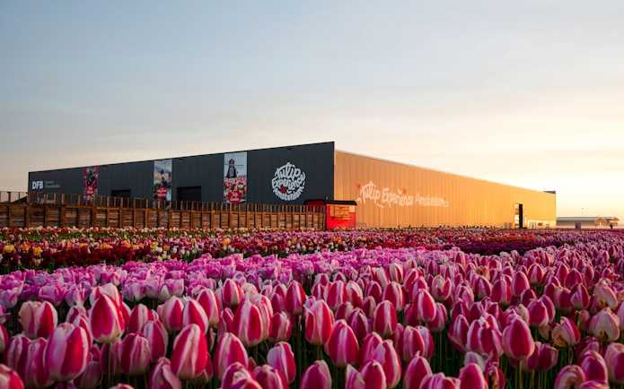 Tulip Experience Amsterdam exterior with tulip fields at sunset.