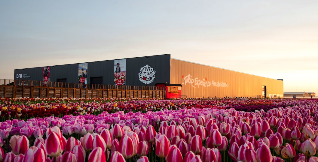 Tulip Experience Amsterdam exterior with tulip fields at sunset.