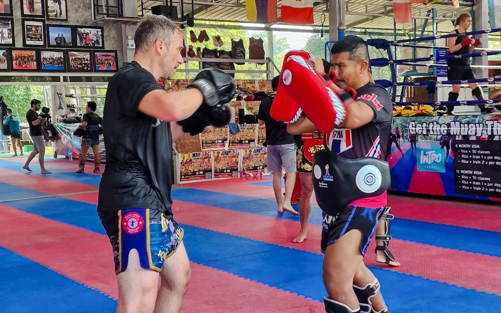 Koh Phangan Beginner Muay Thai Boxing Class Image 2