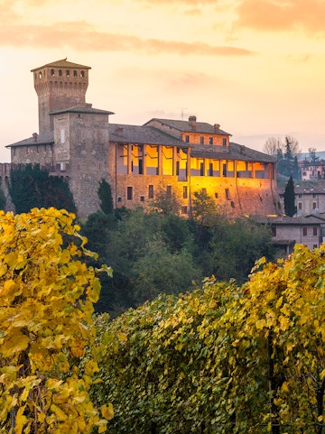 Castle in Modena, Italy, surrounded by vineyards at sunset near Museo Enzo Ferrari.