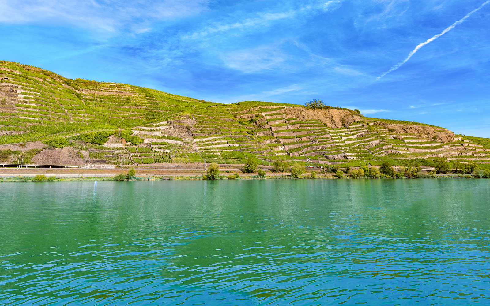 Winningen Üzüm Bağları