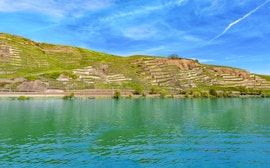 Vinhedos de Winningen