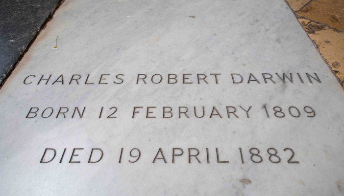 Tombstone of Charles Darwin at Westminster Abbey, London.