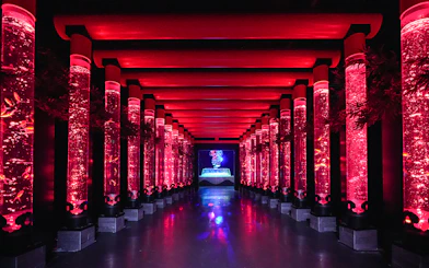 Illuminated red walkway with fish tanks at Art Aquarium Ginza.