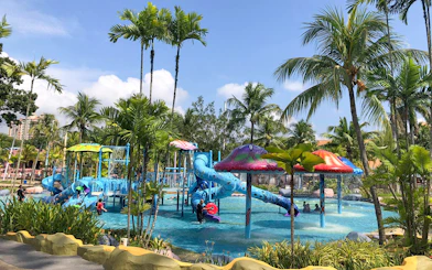 Children playing on water slides at Water World surrounded by palm trees.