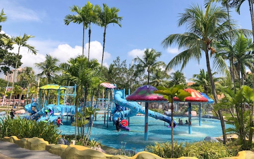 Children playing on water slides at Water World surrounded by palm trees.