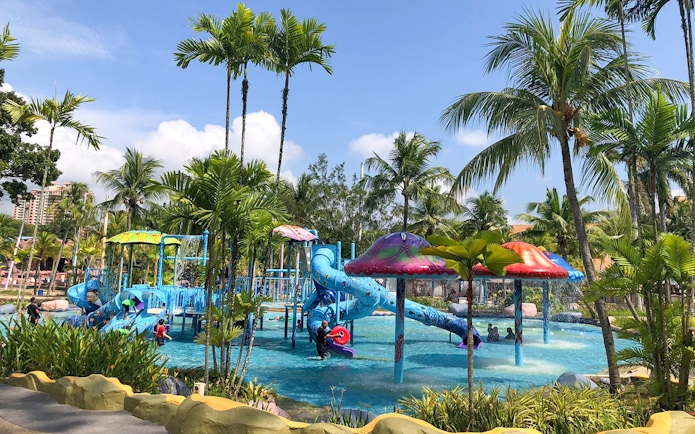 Children playing on water slides at Water World surrounded by palm trees.