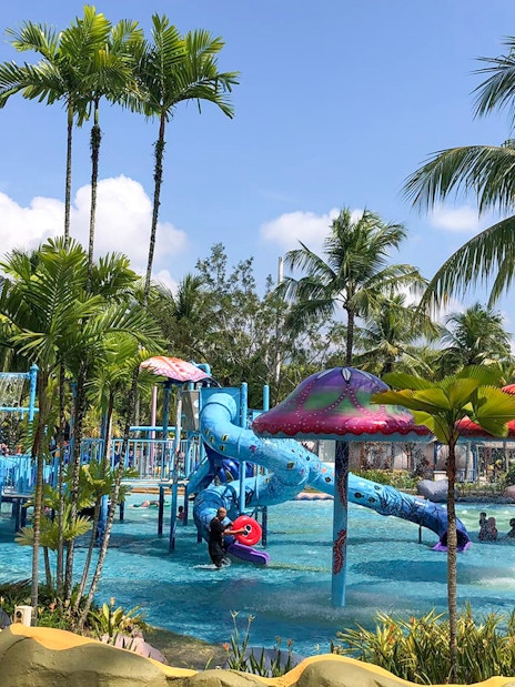 Children playing on water slides at Water World surrounded by palm trees.