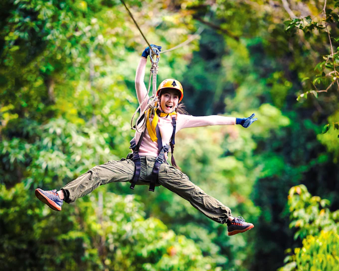 Treetops Adventure Zipline Cape Tribulation Canopy Tour