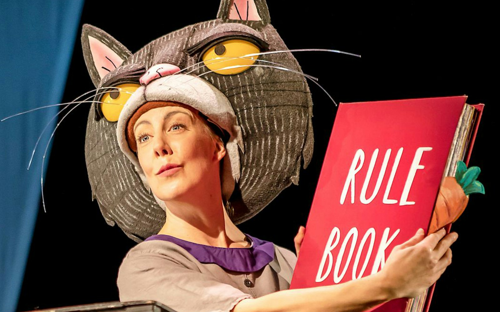 Performer in cat costume holding a "Rule Book" during Oi Frog & Friends! show.