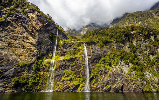Waterfalls cascading down cliffs in Milford Sound, New Zealand, surrounded by lush greenery.