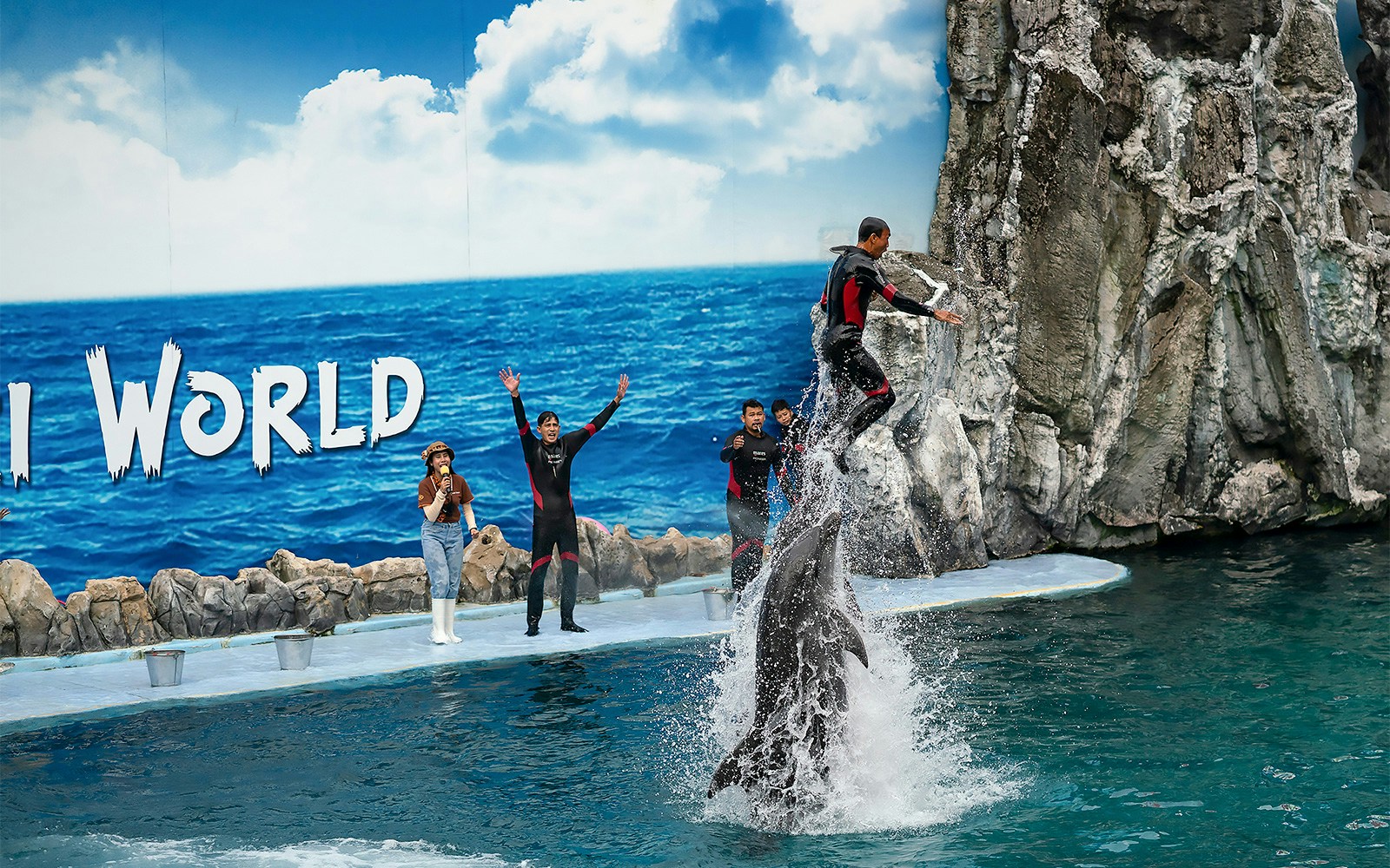 A dolphin show at Safari World, Bangkok