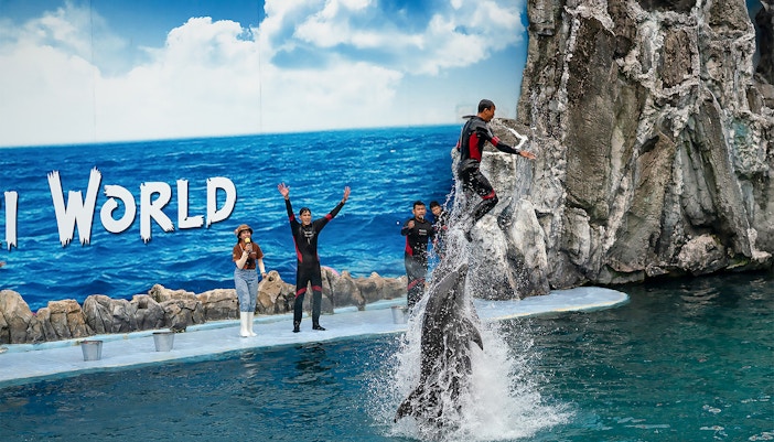 Safari World Bangkok giraffe feeding experience with visitors.