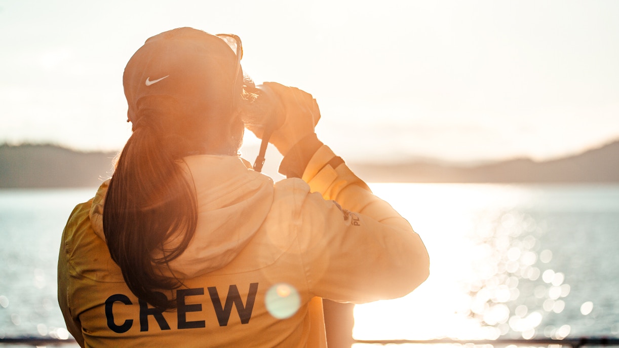 Crew member in yellow jacket on Vancouver sunset whale watching tour.
