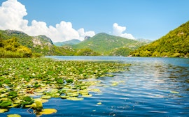 Lacul Skadar