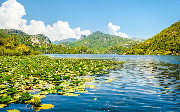 Skadar Lake, Montenegro with lily pads and water lilies under a clear sky.