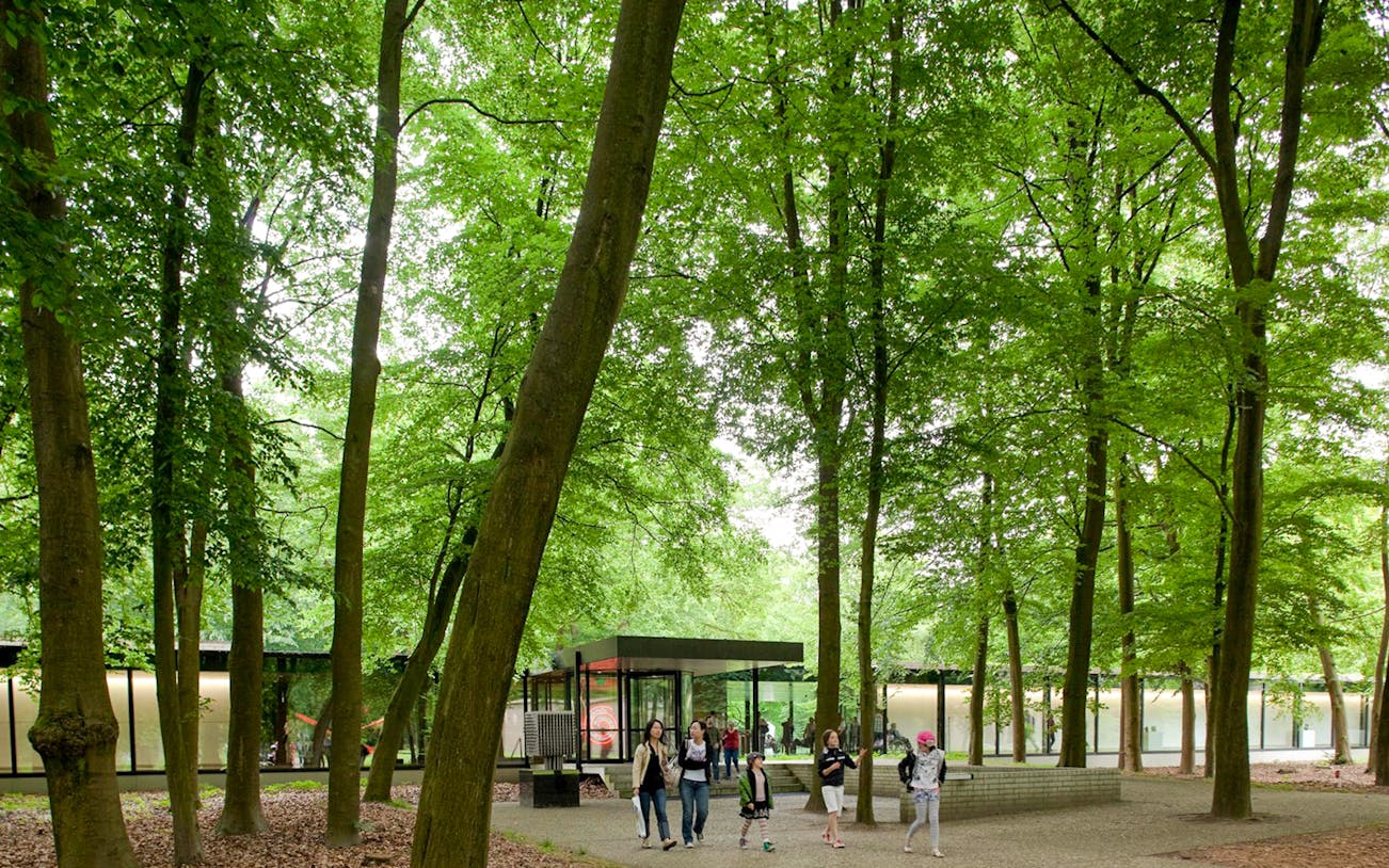 Visitors walking through Hoge Veluwe National Park near Kröller Müller Museum, Amsterdam tour.