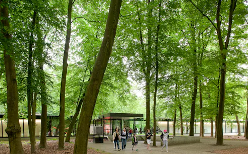 Visitors walking through Hoge Veluwe National Park near Kröller Müller Museum, Amsterdam tour.