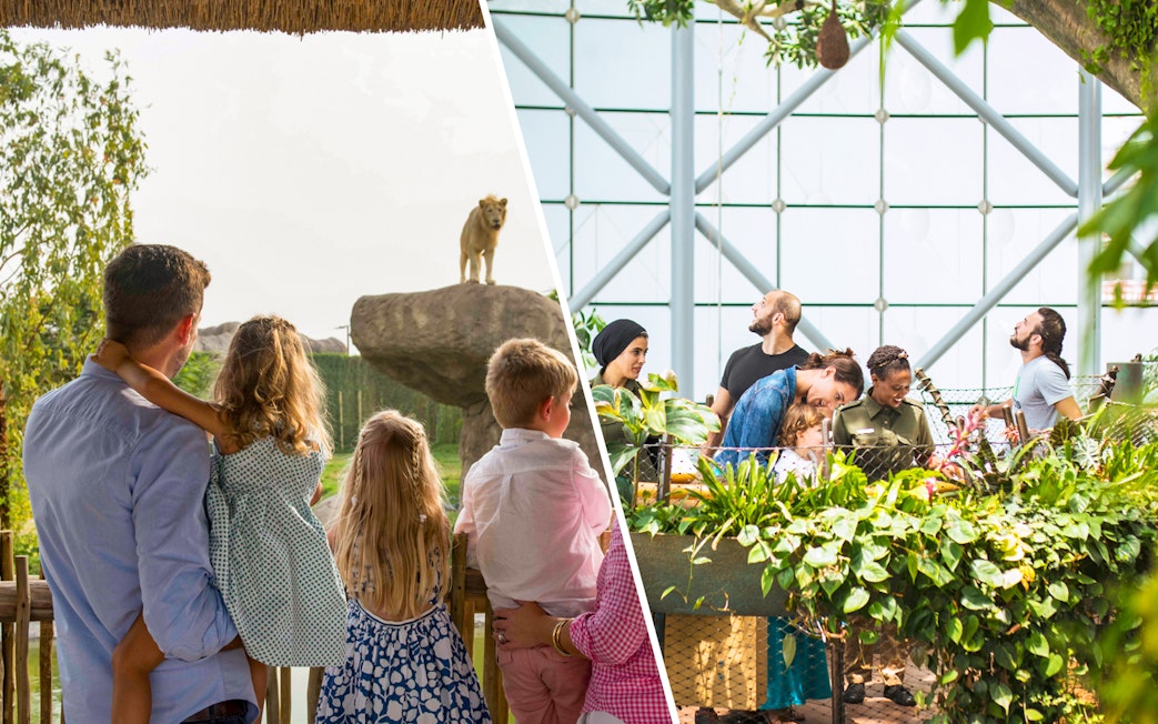 Family observing lion at Dubai Safari Park and visitors exploring Green Planet biodome.