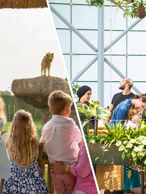 Family observing lion at Dubai Safari Park and visitors exploring Green Planet biodome.