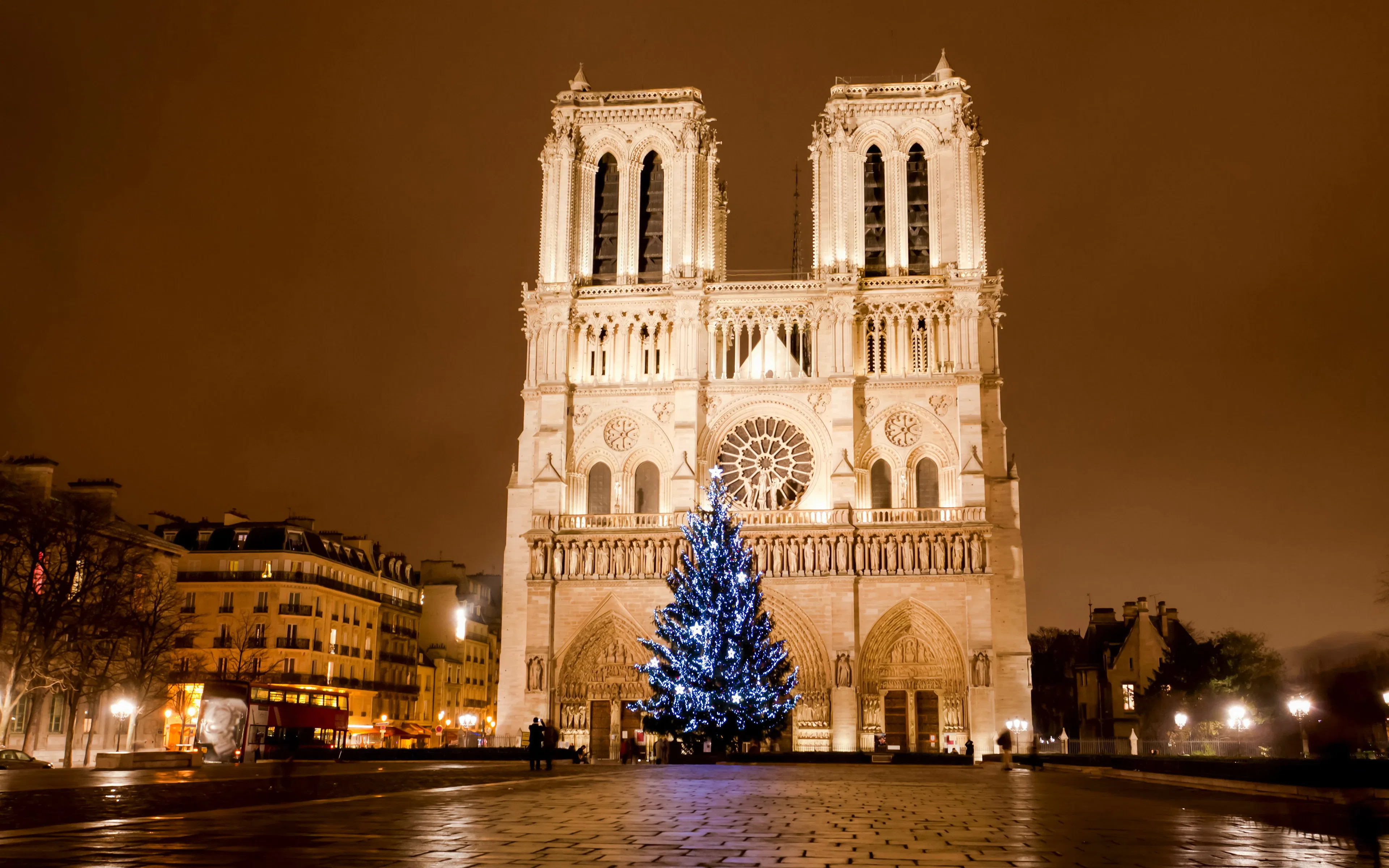 Notre Dame Cathedral illuminated at night with a lit Christmas tree in Paris.