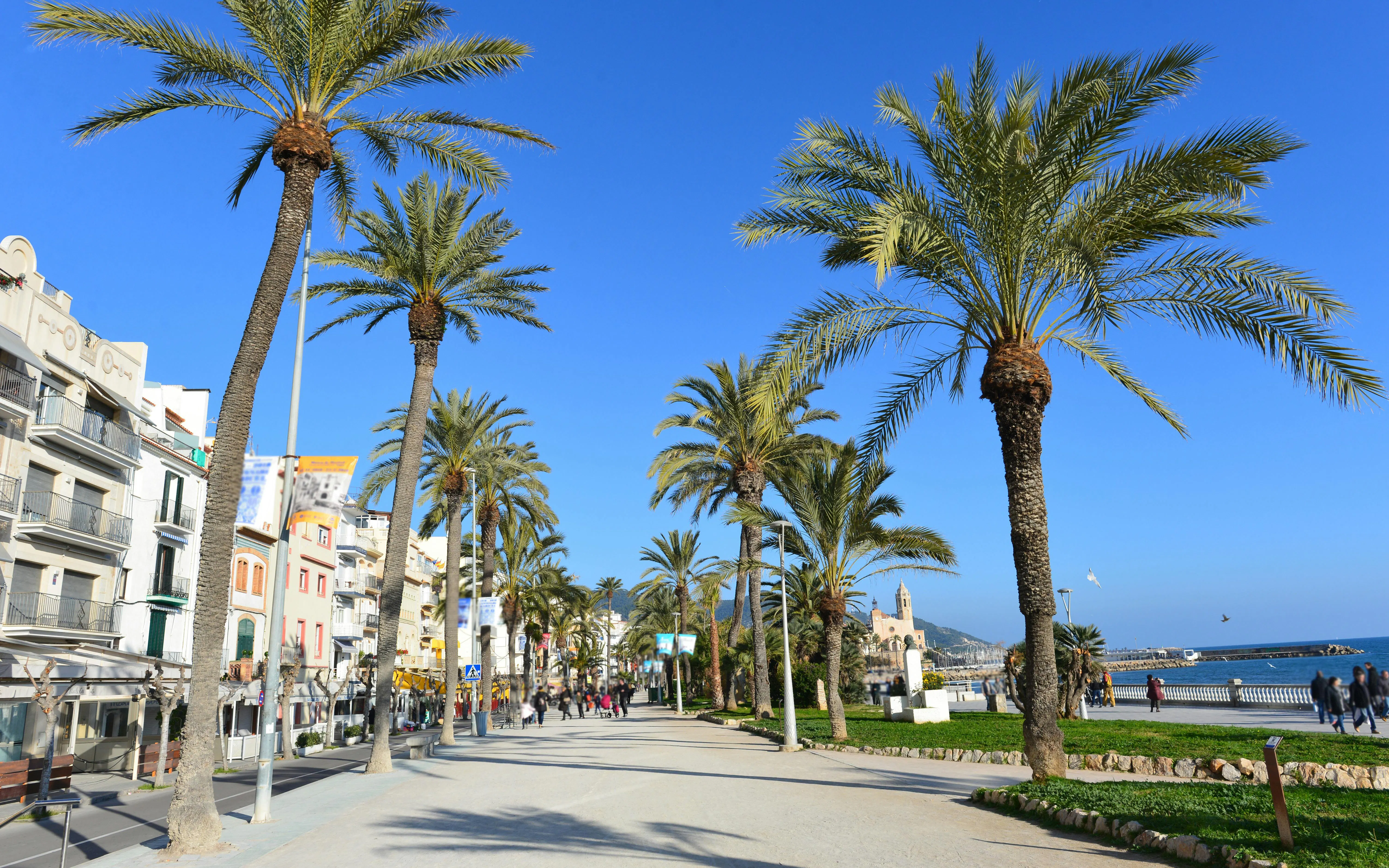 Palmen-Promenade Passeig Marítim lined with palm trees in Sitges, Barcelona.