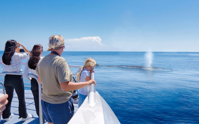 Tourists on a boat watching a whale spout in Auckland's Tikapa Moana waters.