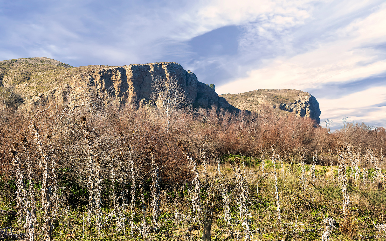 Parque Regional del Sureste
