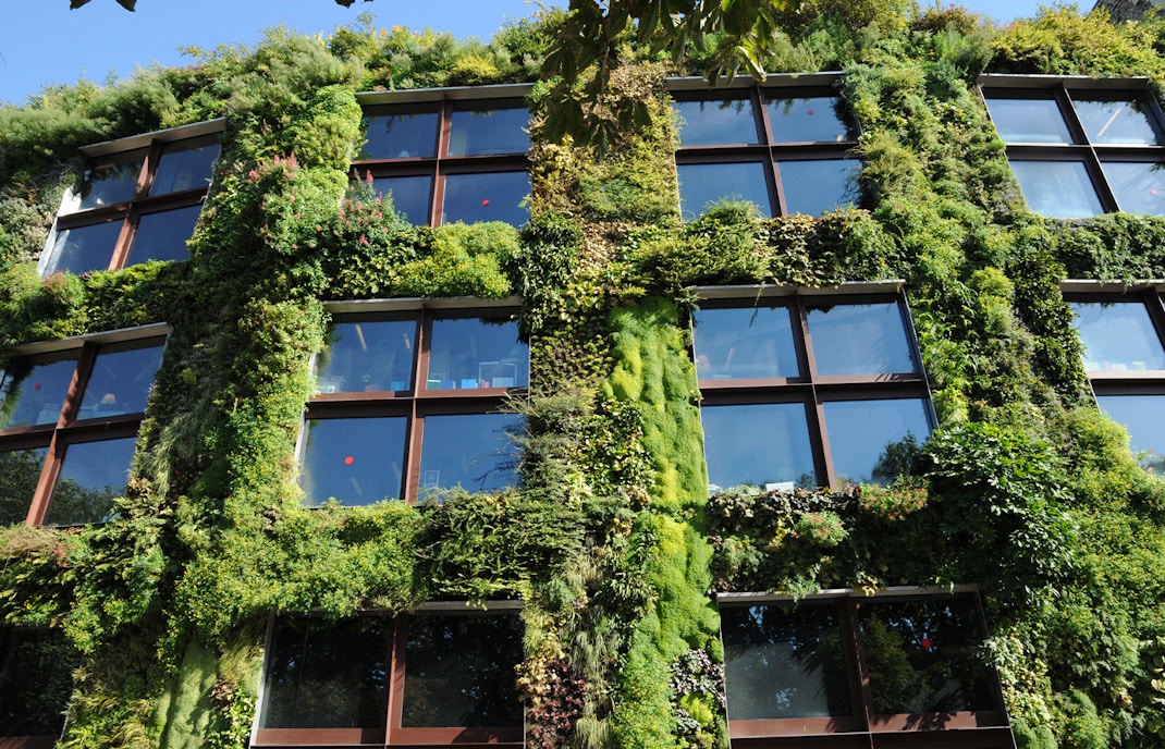 Living Green Wall at the Musee du Quai Branly