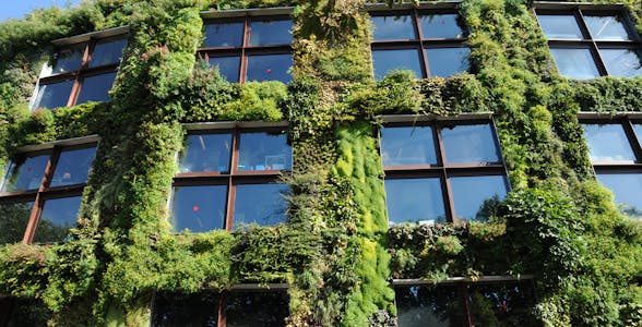 Ingressos Musée du Quai Branly