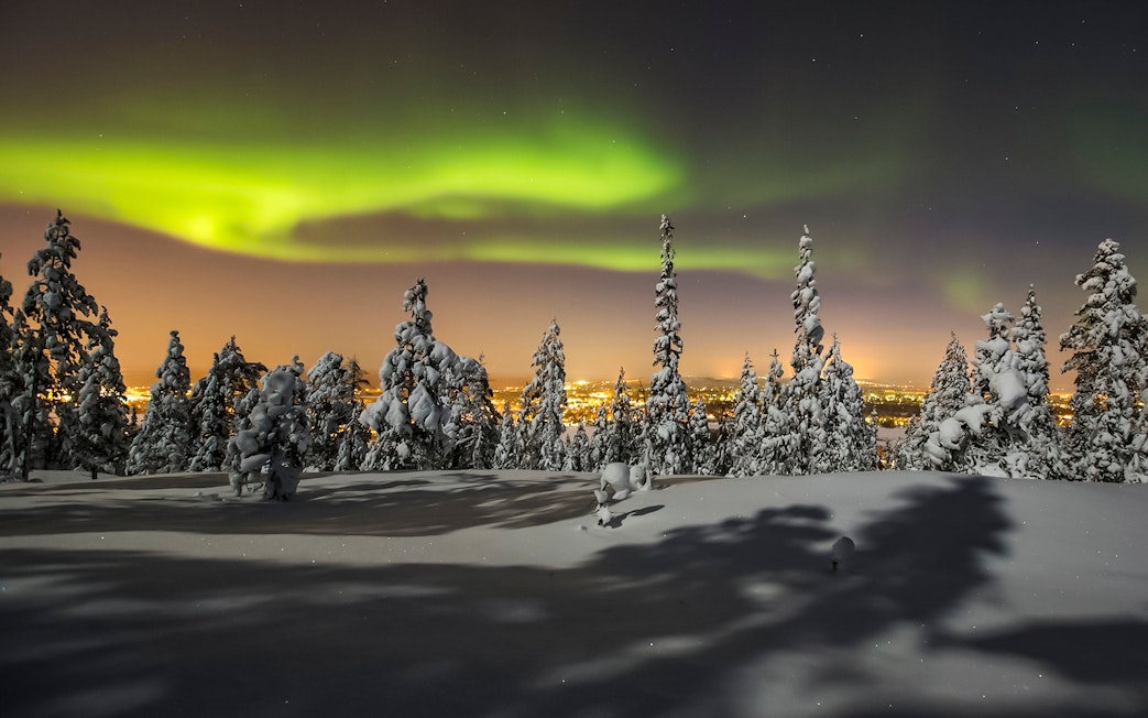 Snow-covered forest under Northern Lights in Levi, Finland.