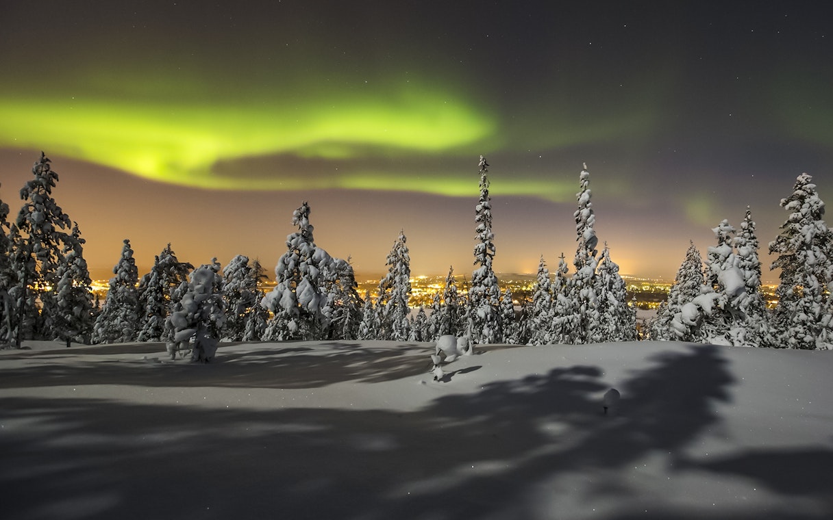 Snow-covered forest under Northern Lights in Levi, Finland.