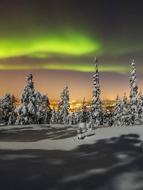 Snow-covered forest under Northern Lights in Levi, Finland.