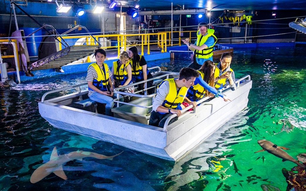 Visitors in a glass bottom boat view sharks at SEA LIFE Sydney Aquarium.