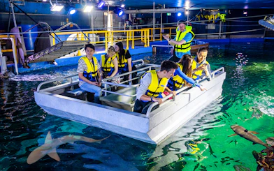 Visitors in a glass bottom boat view sharks at SEA LIFE Sydney Aquarium.