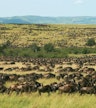 Dag 3: Safari van een hele dag in Tsavo West