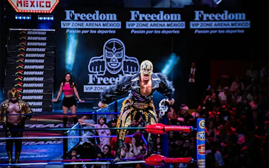 Wrestler in mask performing at Arena Mexico Lucha Libre event.