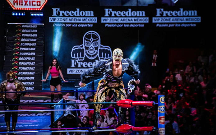 Wrestler in mask performing at Arena Mexico Lucha Libre event.