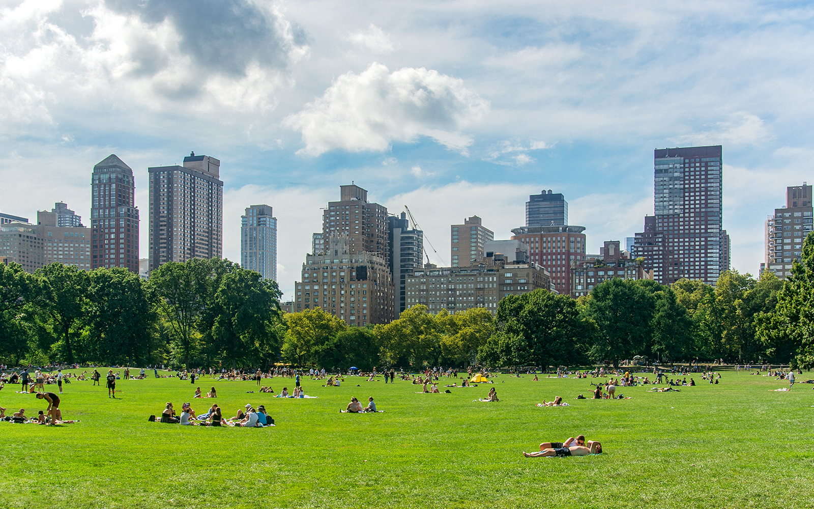 People relaxing on the grass in Central Park with New York City skyline in the background.