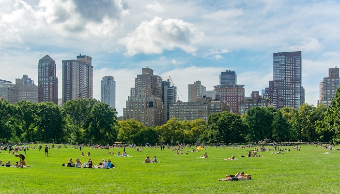 People relaxing on the grass in Central Park, New York City.